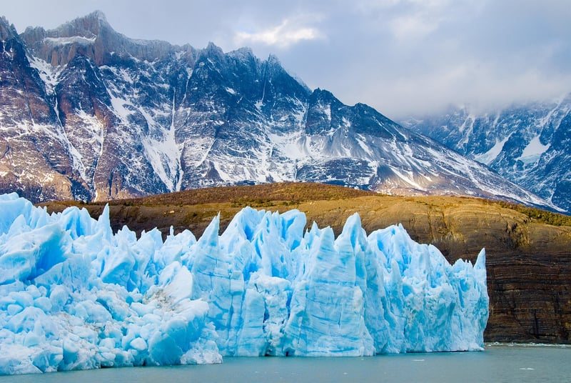 Patagonia Activewear